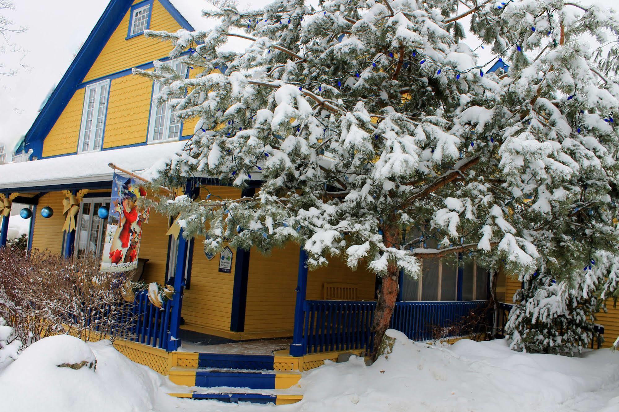 Au Saut Du Lit Bed & Breakfast Magog Exterior photo